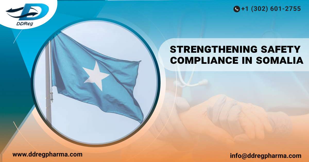 Strengthening Safety Compliance in Somalia