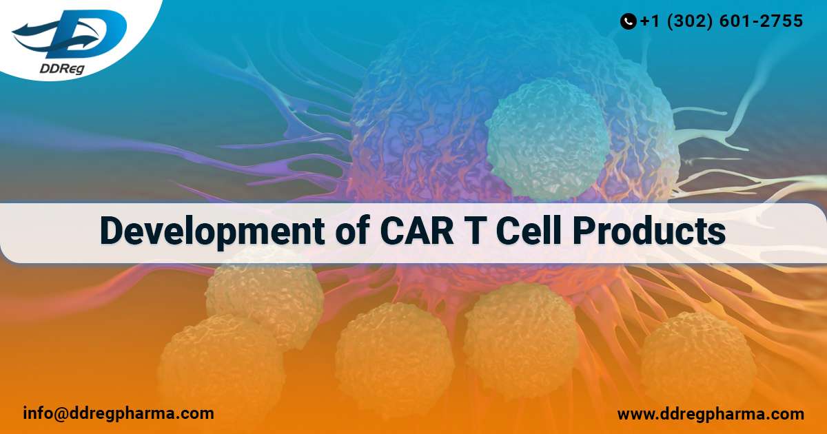 Development of CAR T Cell Products