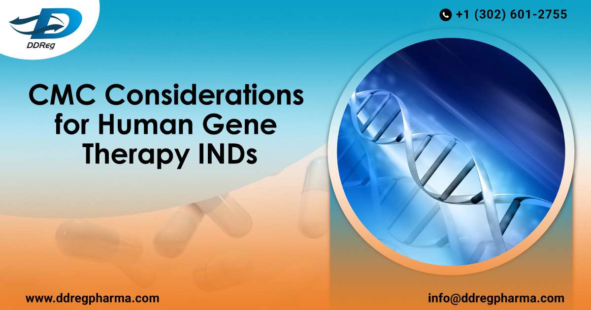 CMC Considerations for Human Gene Therapy INDs