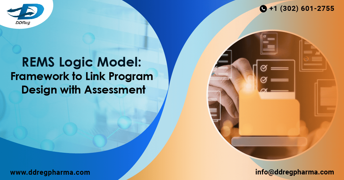 REMS Logic Model: Framework to link program design with assessment