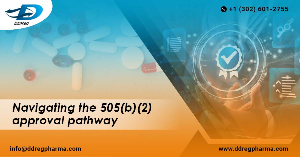 Navigating the 505(b)(2) Approval Pathway