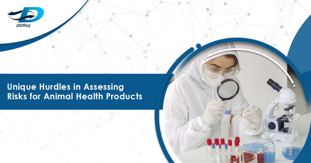 Challenges Risk Assessment in Veterinary