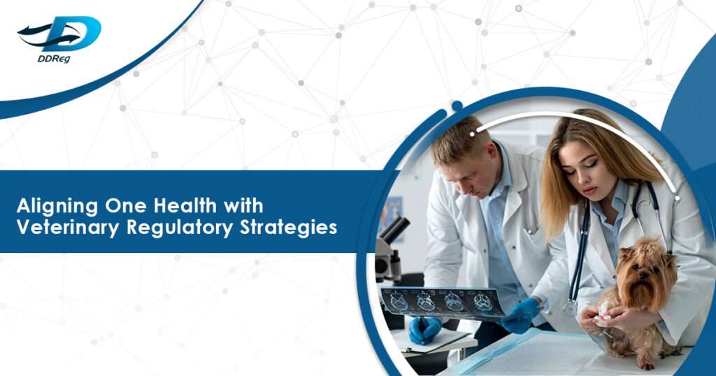 One Health veterinary regulations ensuring animal and public health.