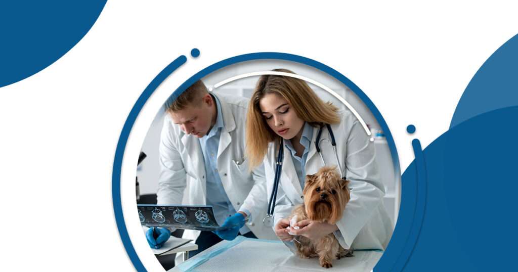 One Health veterinary regulations ensuring animal and public health.