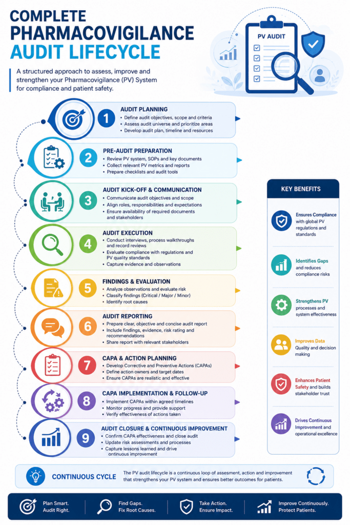 Complete Pharmacovigilance Audit Lifecycle
