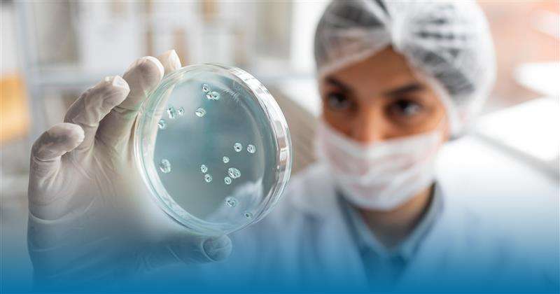 All about CAR T-cell therapy in curing cancer