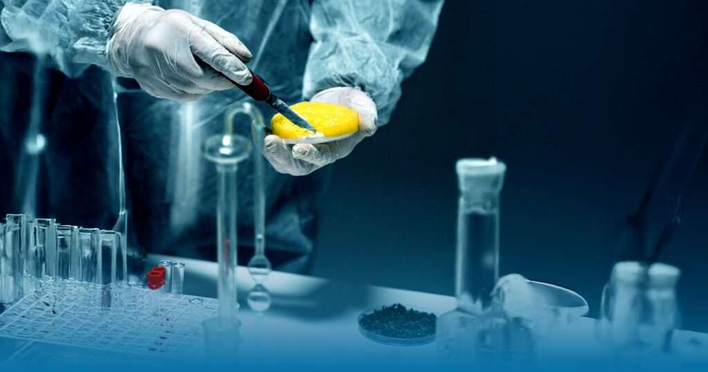 Toxicology Strategy in Drug and Device Development According to ICH S Guidelines to Regulatory Dossiers