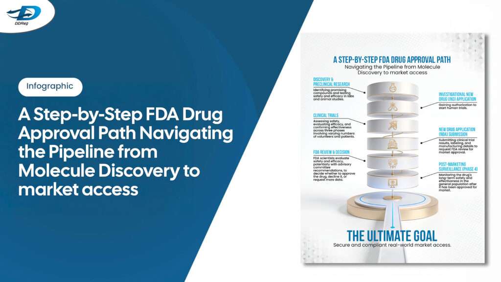 US-FDA Drug Approval Pathway