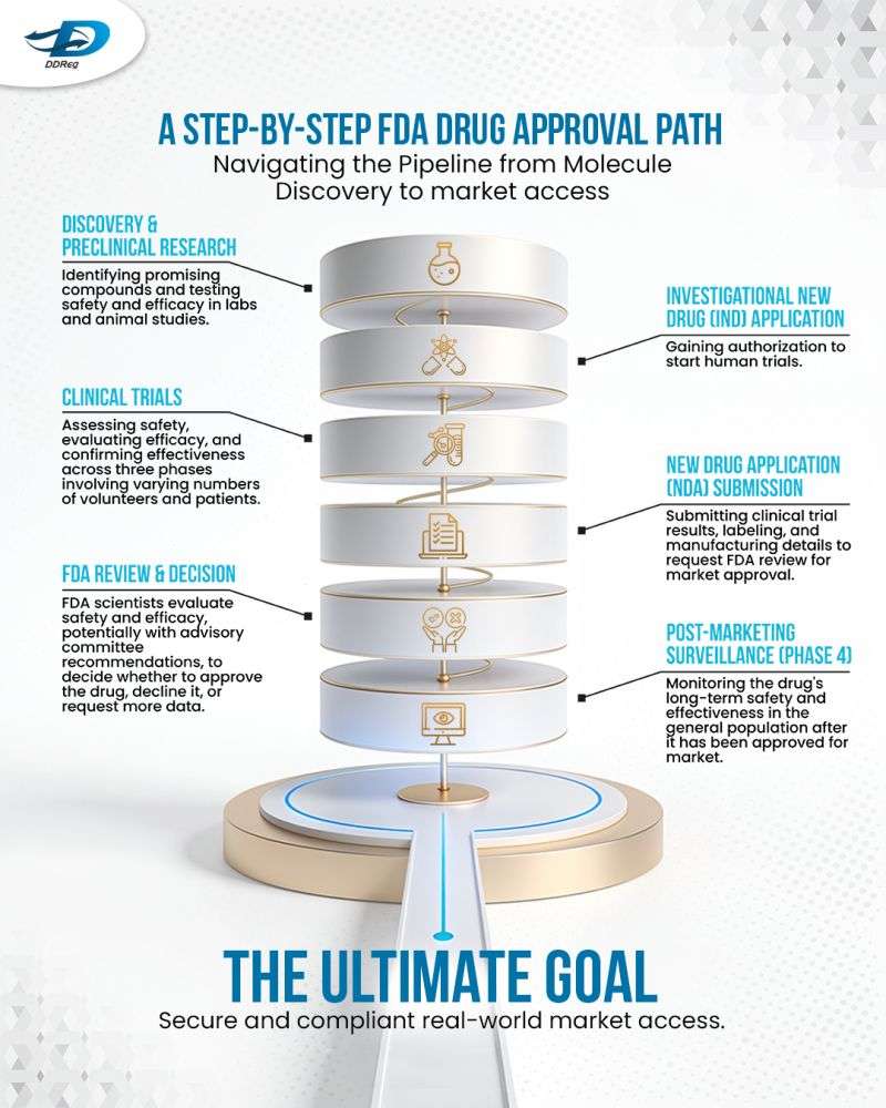 Steps FDA Drug Approval Path